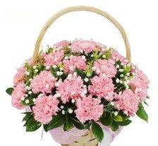 送花篮和花束区别,花篮贵还是花束贵呢图6