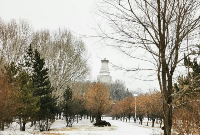 五台山在哪个省，武当山、泰山、华山、五台山、西湖、青海湖分布在哪个省？图5