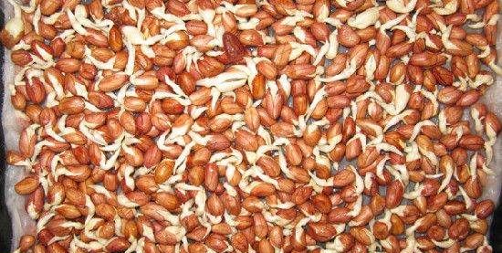 吃出芽的花生有什么好处,花生米发芽对人有那些好处呢图3