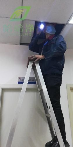 重庆灭鼠公司哪家好？重庆灭鼠公司怎么收费-第1张图片-