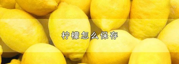 柠檬可以怎么保存时间长