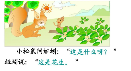 关于松鼠的知识,关于松鼠的知识图4