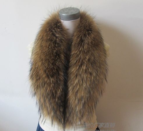 貉子毛领掉毛严重怎么办