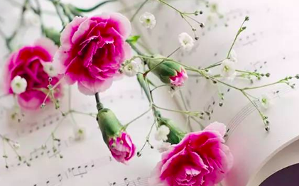 妇女节送什么礼物好,三八妇女节送什么礼物给女朋友最好图5