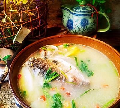 鲫鱼汤用多少通草