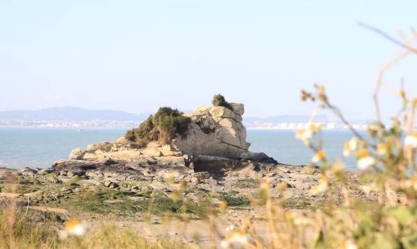 海底淡水喷泉,地球上大部分的水是海洋里的淡水图5