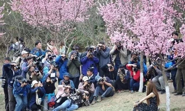 mark一下是什么意思，贴吧里被回复马克一下是什么意思，被马克了应该怎么回复别人？图5