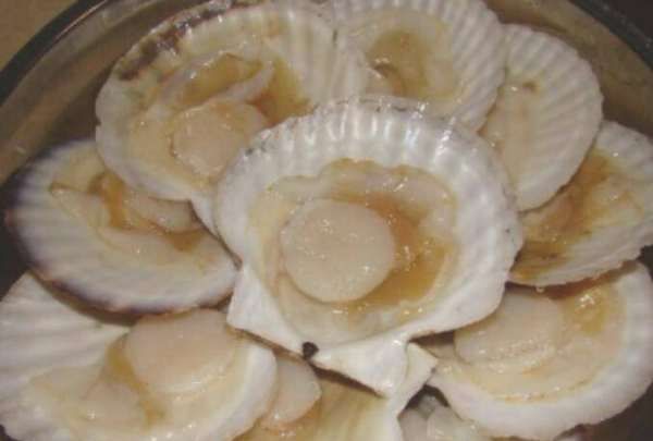 元贝蒸粉丝蒸多久,元贝蒸粉丝蒸多久开水图6