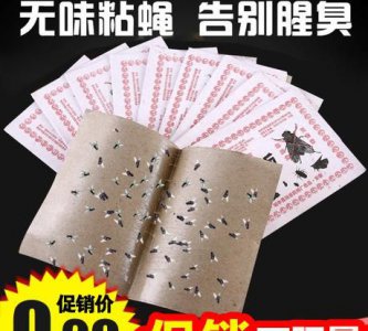 ​车里进苍蝇怎么驱赶,车里进苍蝇怎么赶出去