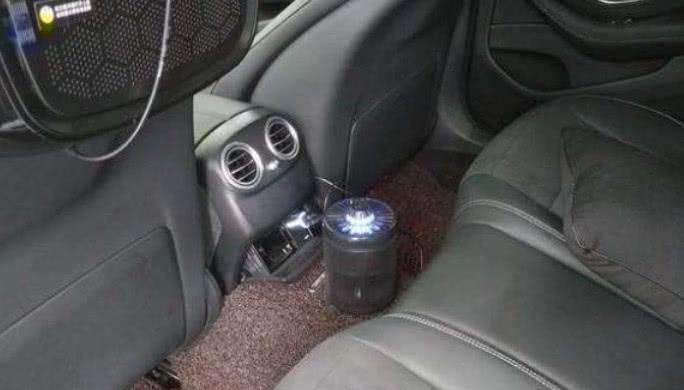 如何驱赶车内苍蝇