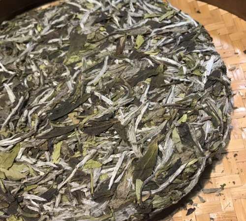 白茶为什么叫白茶