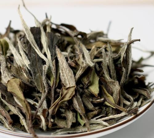 白茶起源于什么时候