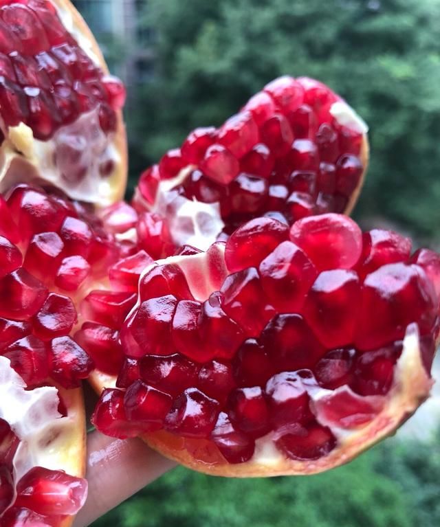 软石榴的石榴籽可以吃吗，谁吃四川会理突尼斯软籽石榴了，跟普通石榴有什么不同吗？图2