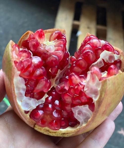 从营养角度来看，软籽石榴好，还是硬籽石榴好