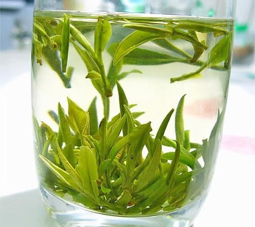 什么是清茶什么是绿茶