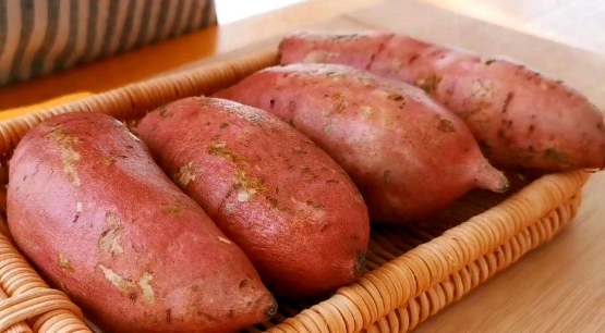 红薯蒸多久能熟