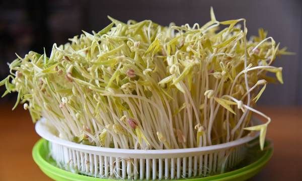 绿豆汤可以隔夜喝,隔夜绿豆汤加热能喝吗图5