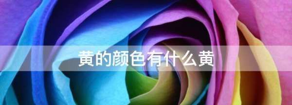 黄色有什么黄,黄颜色有哪几种黄图2