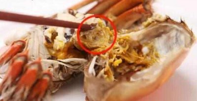 ​螃蟹白色的膏体能吃吗，红烧毛蟹的正确吃法？