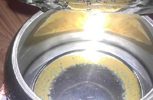 小苏打去热水壶除水垢,烧水壶如何去除烧水水垢