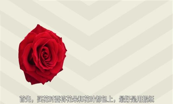 玫瑰花茶怎样保存,玫瑰花干了不舍得扔,怎么保存?图3