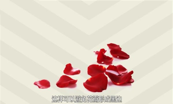 玫瑰花茶怎样保存,玫瑰花干了不舍得扔,怎么保存?图5