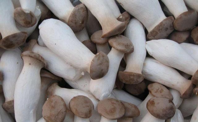 杏鲍菇头有点烂能吃吗，我切下杏鲍菇存放了三天,粘在一起了,还能不能吃？图3