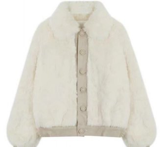 ​大衣上的毛毛怎么去掉，呢子大衣上粘一些羽绒服的毛毛，怎么处理？