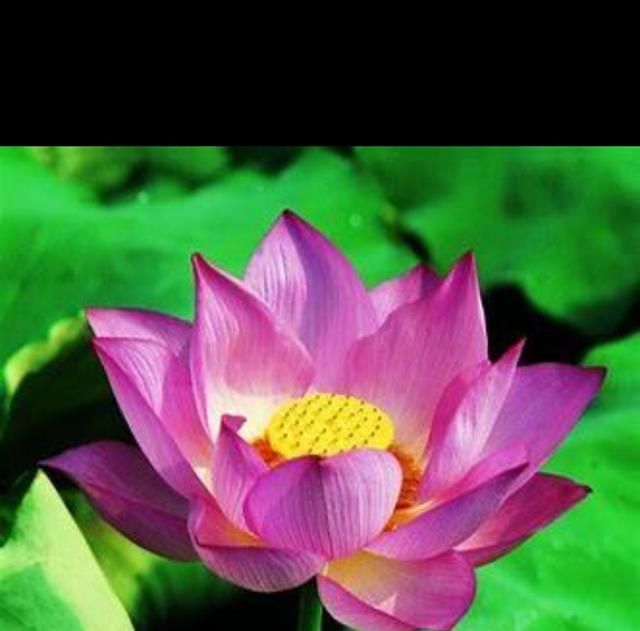 寺院和寺庙有什么区别，庵和庙有什么区别？图5