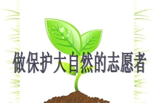 保护和爱护的区别