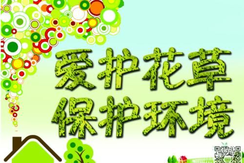 爱护和保护怎么区分