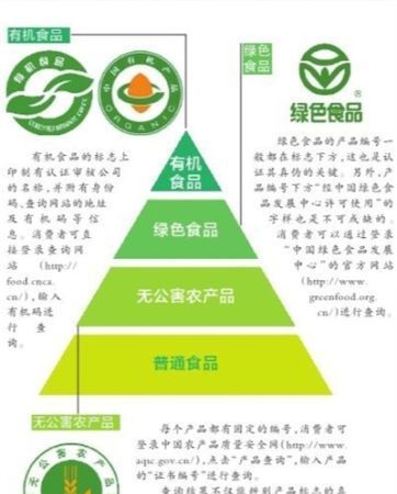 绿色食品是指什么食品
