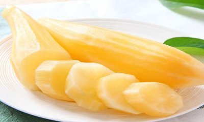 ​雪莲果冷藏保存多久，雪莲果没熟放多久能熟？