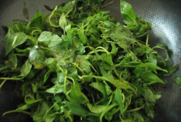 黄瓜荆芥怎么调,完美的黄瓜变蛋拌荆芥怎么做好吃又简单图4