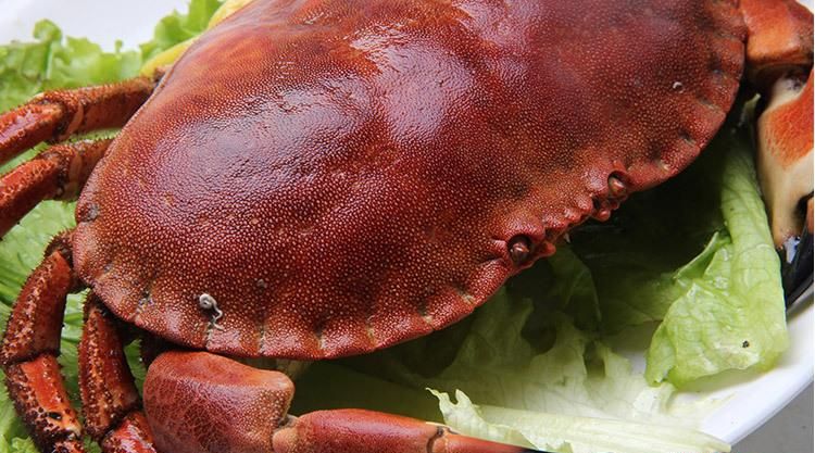 珍宝蟹和面包蟹的区别