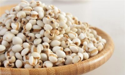 ​薏米怎么挑选，薏米煮粥放多少水和多少米才合适？