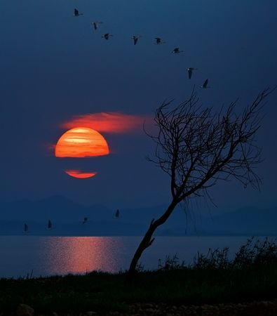 夕阳西下的唯美句子