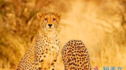 跑步三年级作文三百字