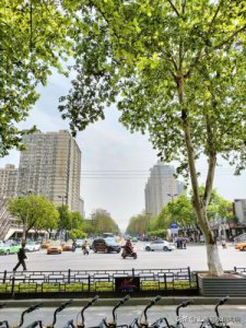 ​西安美院大门为什么不开?？西安美院大门为什么不开 真的闹贵吗