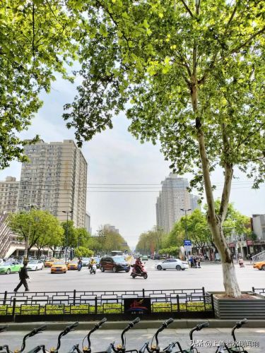 西安美院大门为什么不开?？西安美院大门为什么不开 真的闹贵吗-第1张图片-