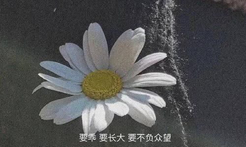 不孚众望与不负众望的区别