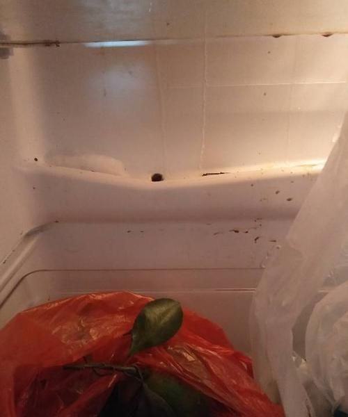 冰箱上层有水怎么回事一般调几合适