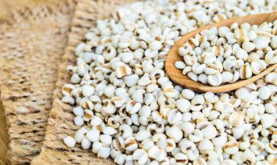 ​薏米里面长了虫还能吃吗，薏米里有虫子，黑色的，有点像甲虫，不大，是什么虫