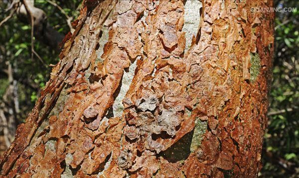 在云南开什么店赚钱