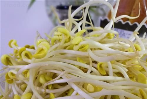 黄豆芽刚出小芽能吃吗