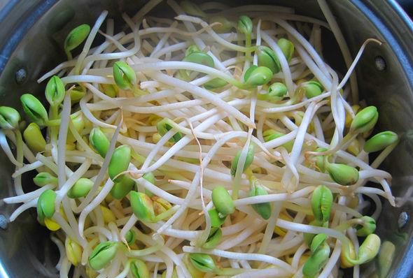 黄豆芽发绿芽了还能吃吗