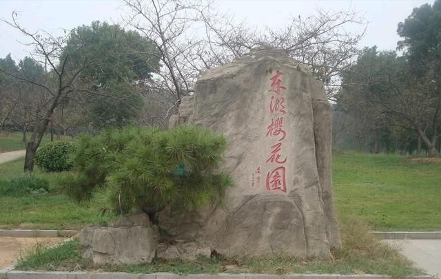 武汉樱花什么时候开,武汉华农樱花什么时候开?图3