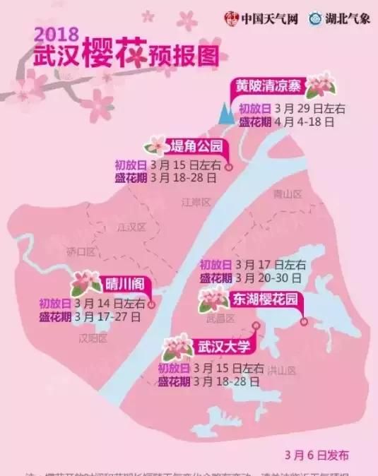 武汉樱花什么时候开,武汉华农樱花什么时候开?图2