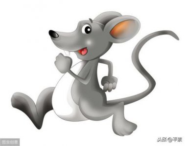 ​1928年属什么生肖属相今年几岁(1928年属什么生肖几岁)