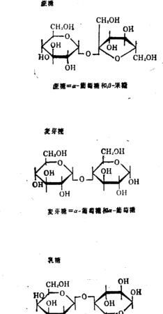 麦芽糖属于单糖双糖还是多糖